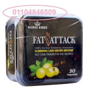 -اتاك-الاسود-هيربال-كينج-30-ك-صفيح-fat-attack-herbal-king-1