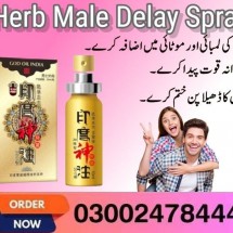 415757462_122117472806136950_4451644353118448468_n - Copy (2) - Copy