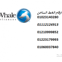 ad-image-6229f29946e3d19