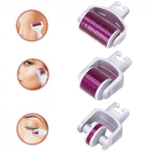 4-in-1-derma-roller-in-peashwer