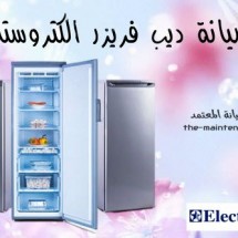 Deep-Freezer-Electrostar-maintenance